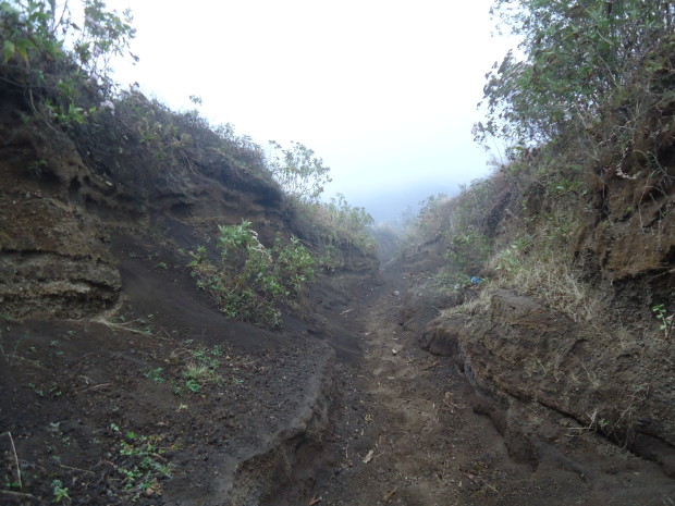 im1 - volcan de acatenango