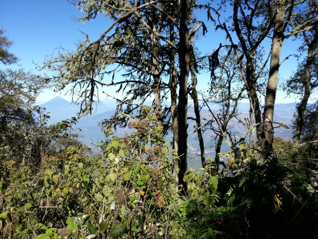 im14 - volcan de acatenango