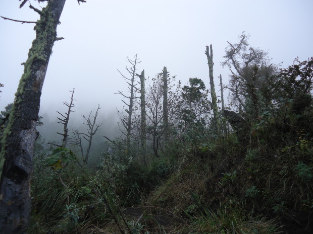 im17 - volcan de acatenango