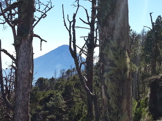 im21 - volcan de acatenango