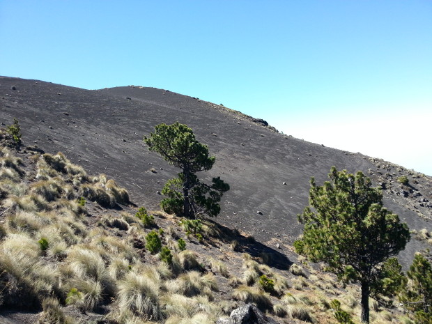 im26 - volcan de acatenango