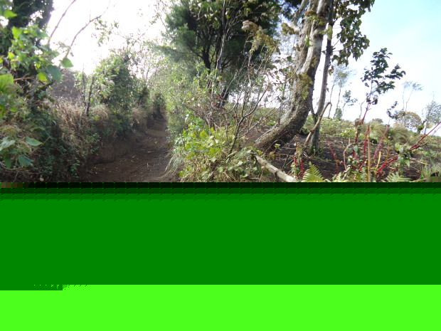 im4 - volcan de acatenango
