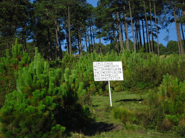 DSC00648